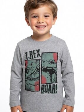 Boys’ Grey T‑Rex Roar Long Sleeve Tee